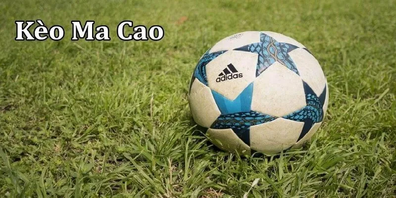 Các dạng tỷ lệ kèo Ma Cao phổ biến nhất hiện nay